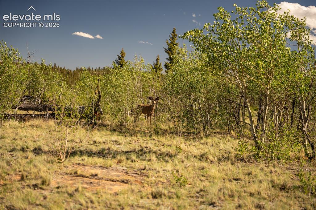 1280 Antler Ridge Road Como CO 80432