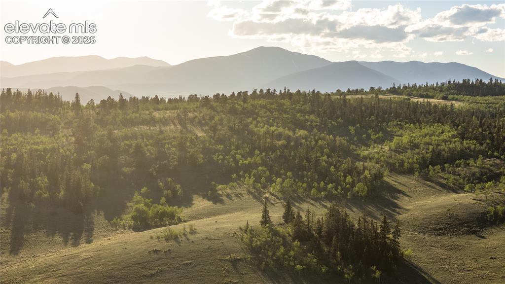1280 Antler Ridge Road Como CO 80432