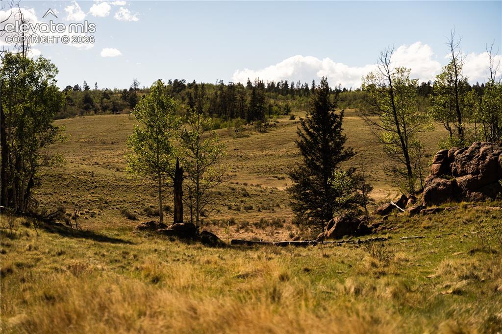 1280 Antler Ridge Road Como CO 80432