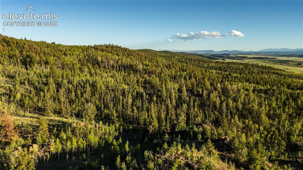 1280 Antler Ridge Road Como CO 80432