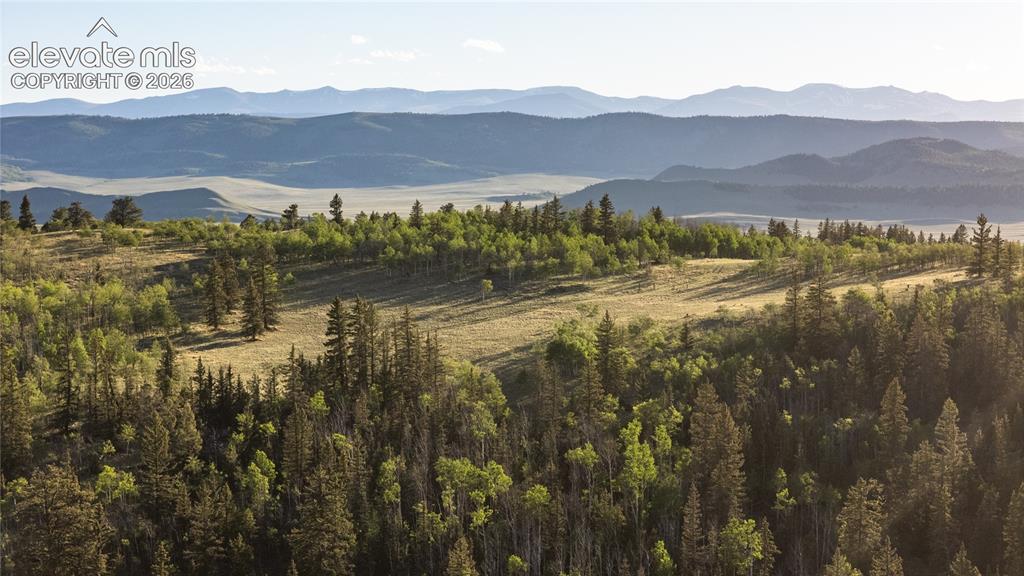 1280 Antler Ridge Road Como CO 80432