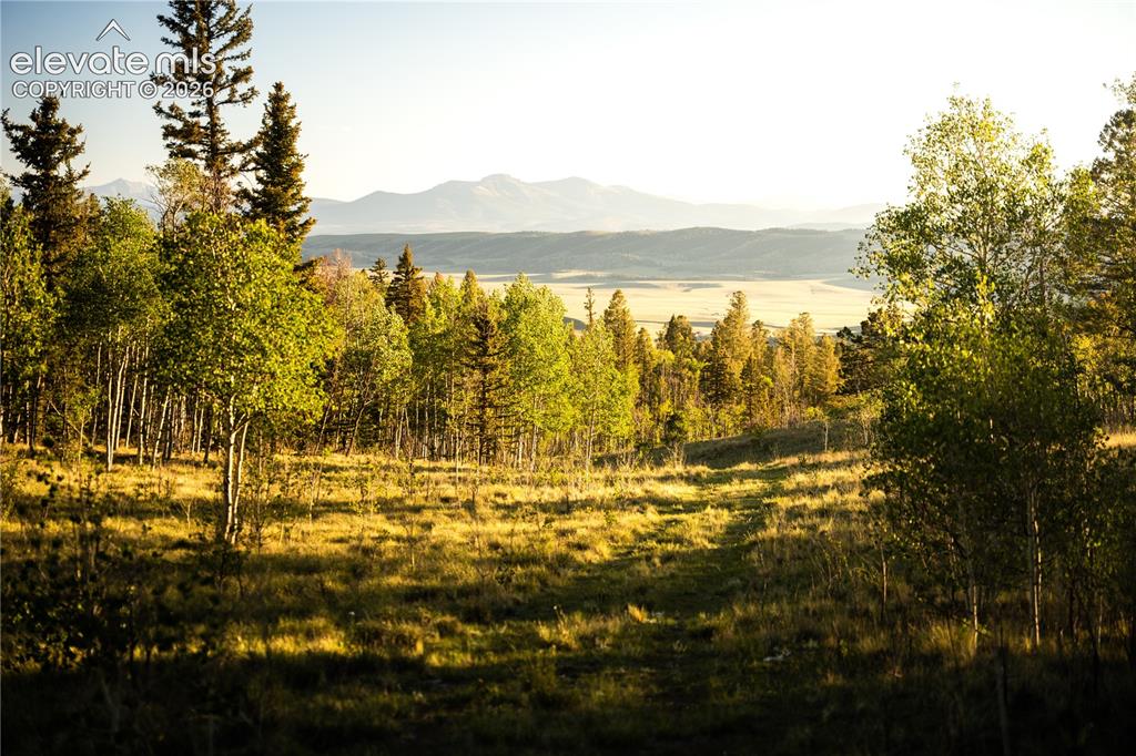 1280 Antler Ridge Road Como CO 80432