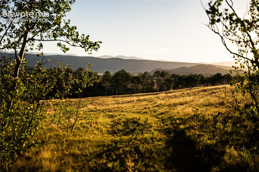 1280 Antler Ridge Road Como CO 80432