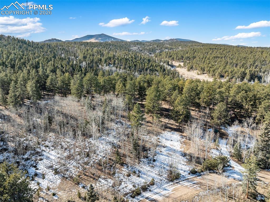 Lot 20 Echo Lake Drive Lake George CO 80827