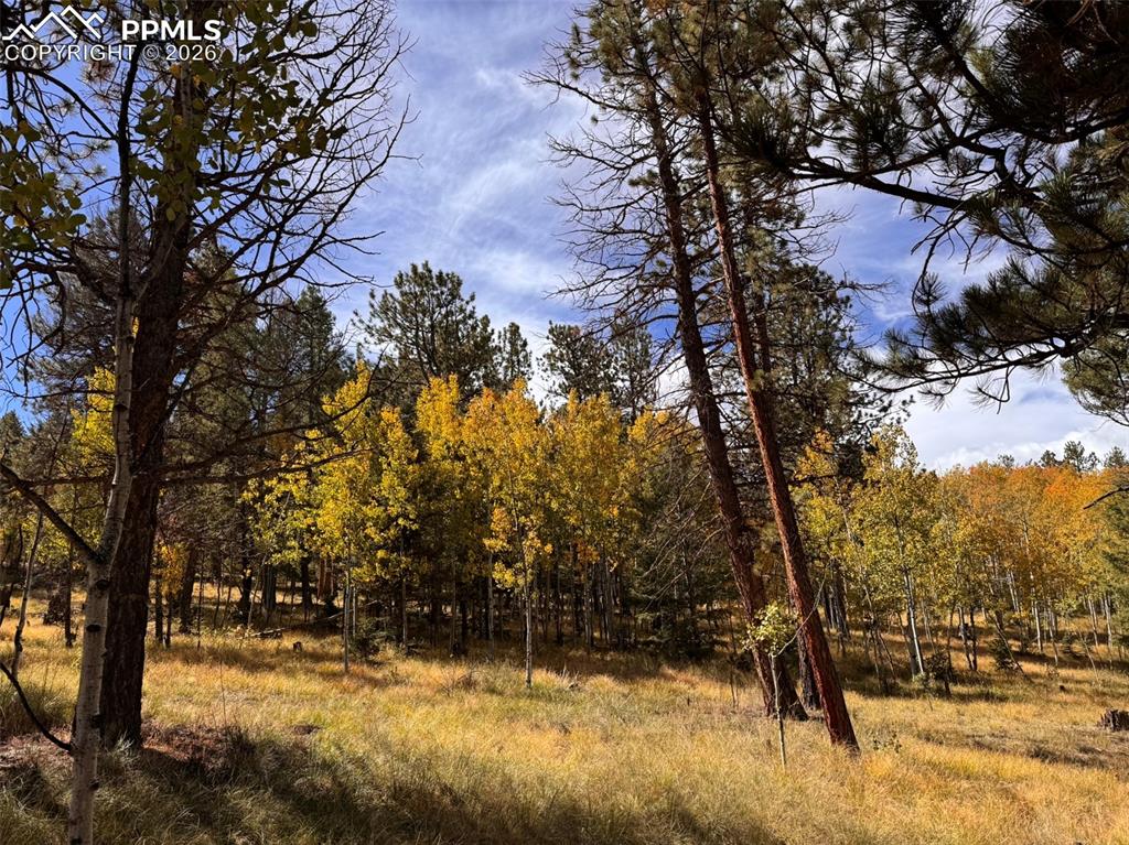 Lot 20 Echo Lake Drive Lake George CO 80827