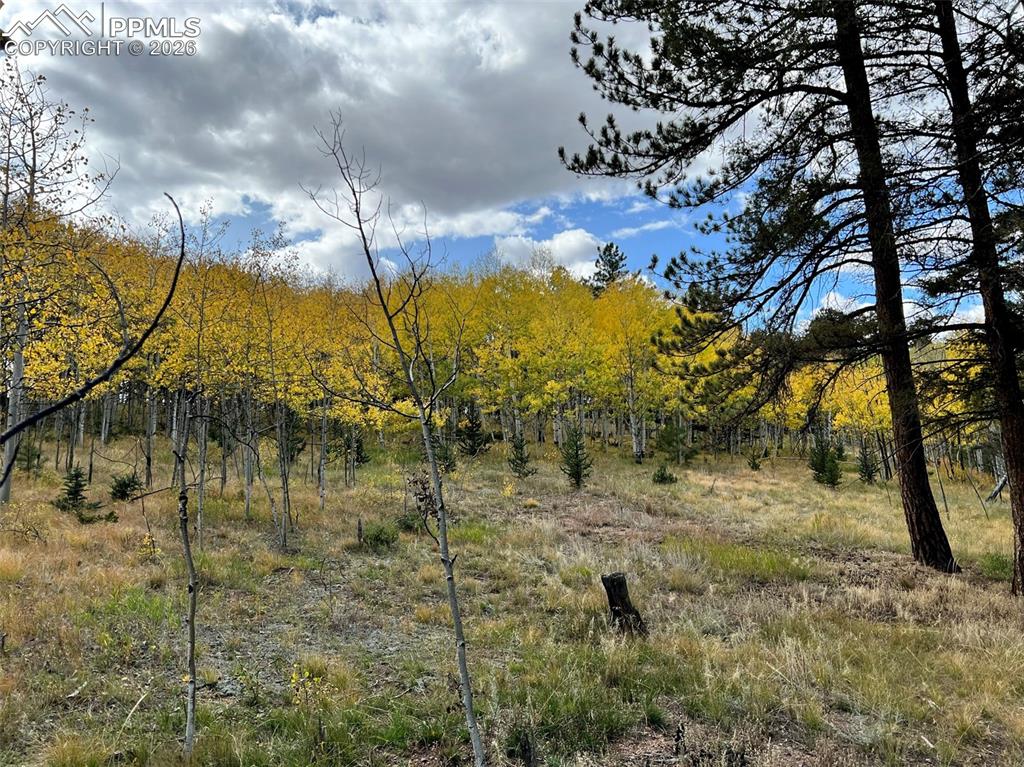 Lot 20 Echo Lake Drive Lake George CO 80827