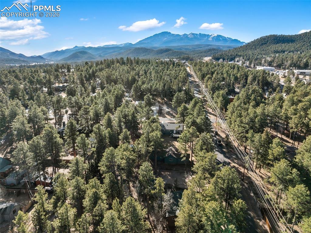 Lot 20 Echo Lake Drive Lake George CO 80827