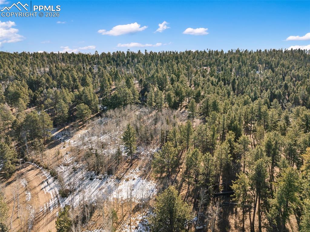 Lot 20 Echo Lake Drive Lake George CO 80827