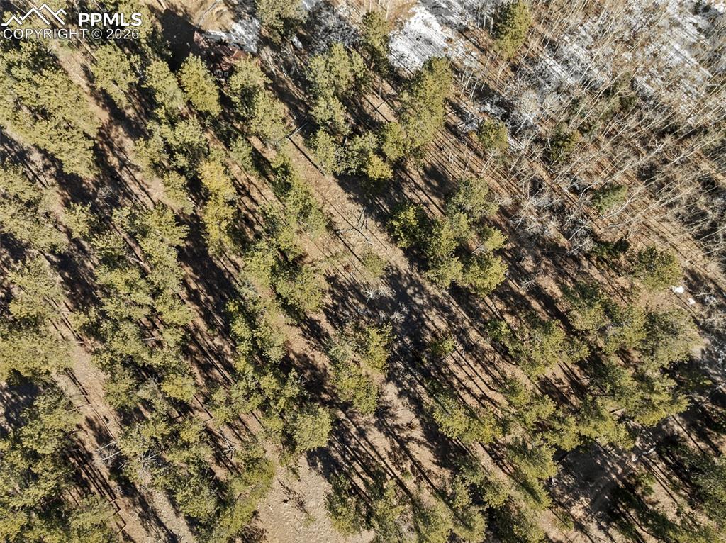 Lot 20 Echo Lake Drive Lake George CO 80827