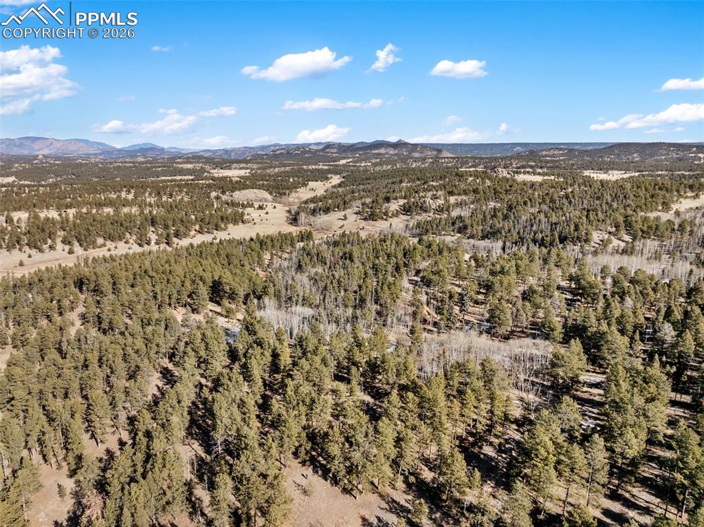 Lot 20 Echo Lake Drive Lake George CO 80827