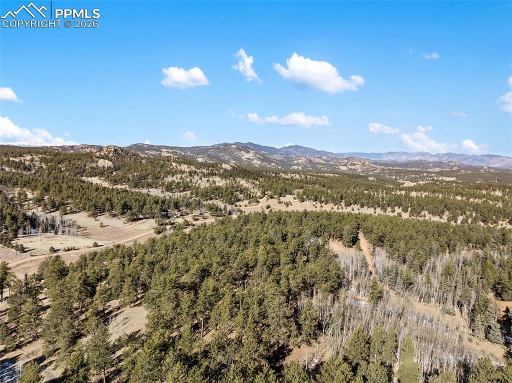 Lot 20 Echo Lake Drive Lake George CO 80827