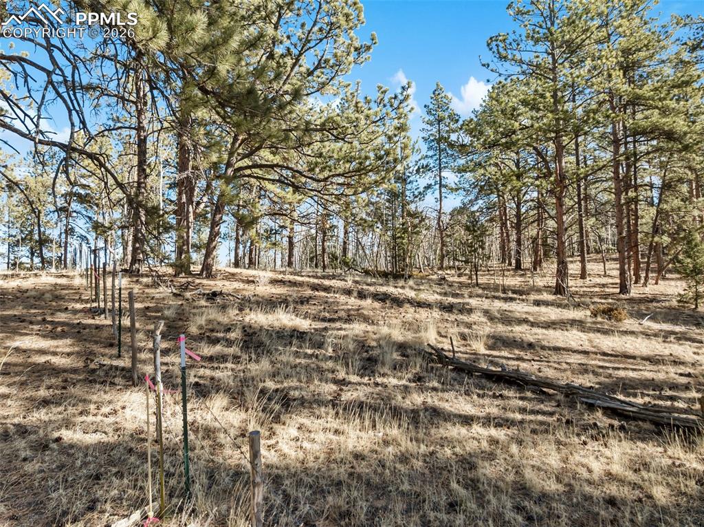Lot 20 Echo Lake Drive Lake George CO 80827