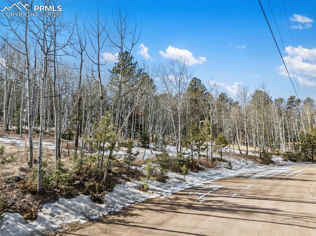 Lot 20 Echo Lake Drive Lake George CO 80827