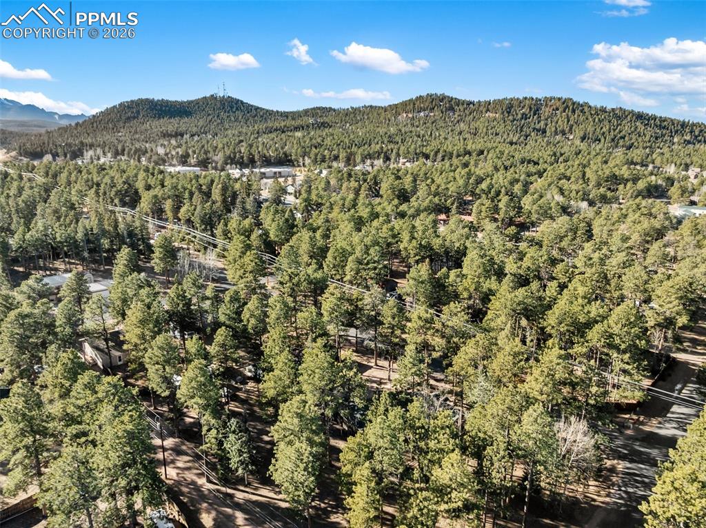 Lot 20 Echo Lake Drive Lake George CO 80827