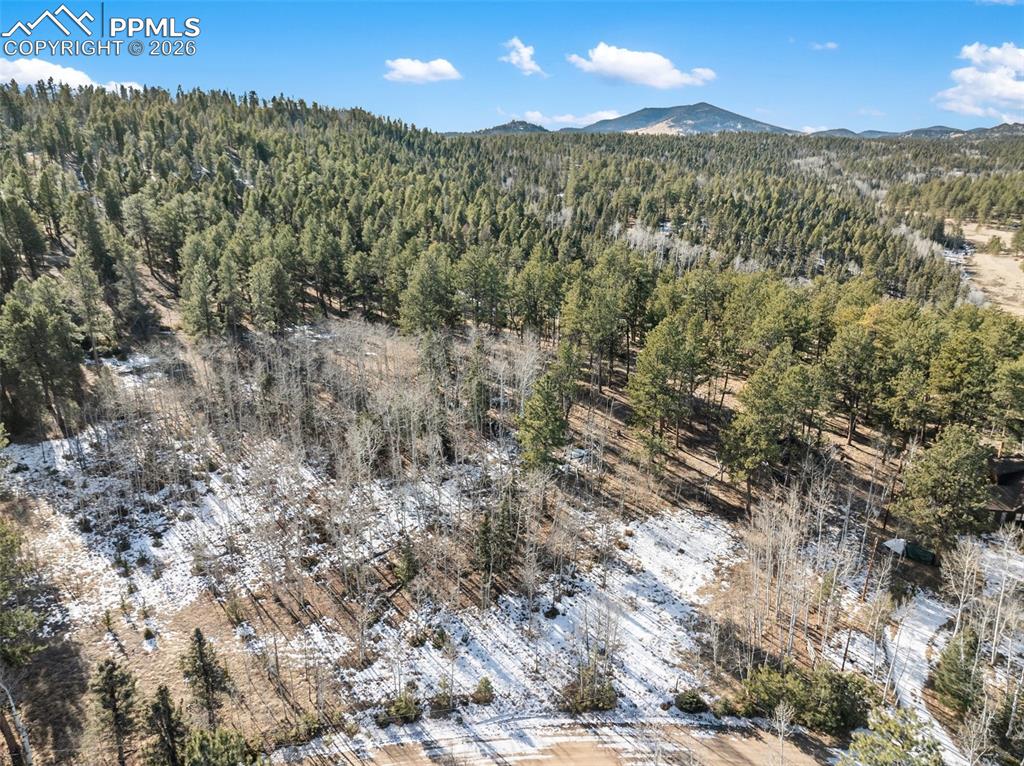 Lot 20 Echo Lake Drive Lake George CO 80827