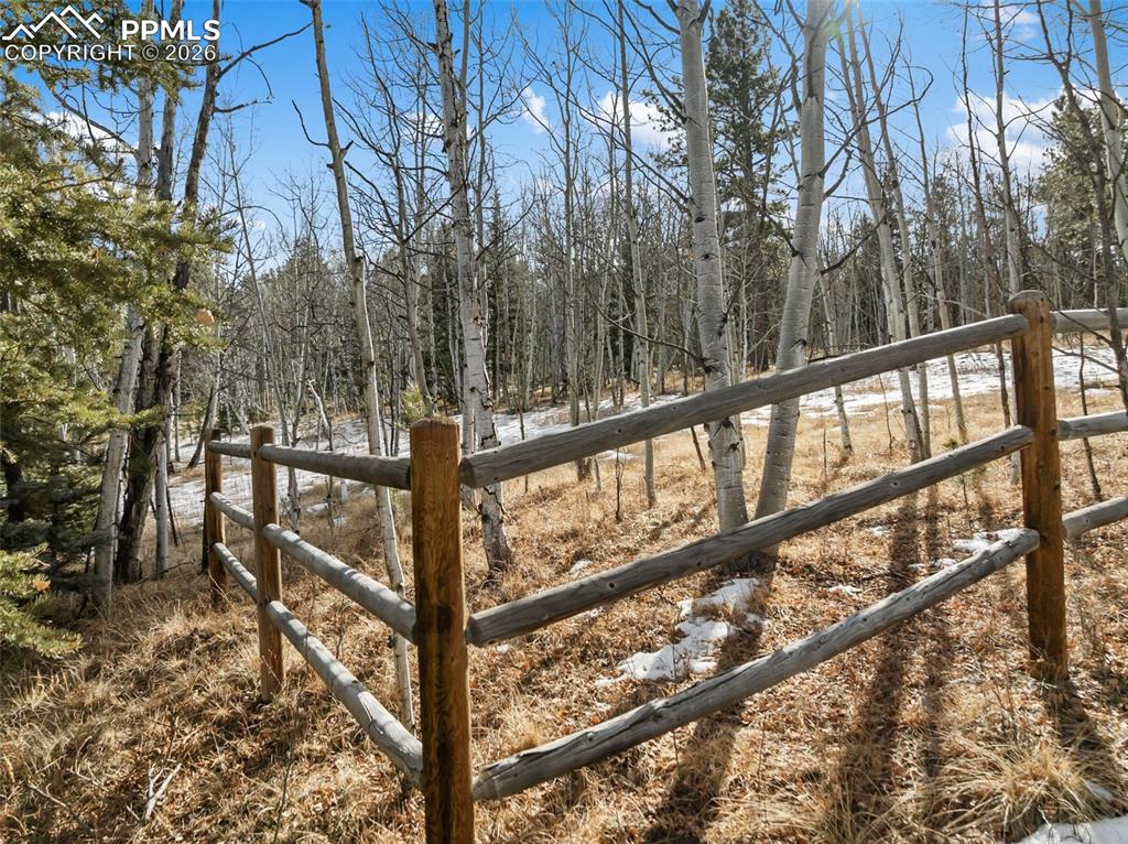 Lot 20 Echo Lake Drive Lake George CO 80827