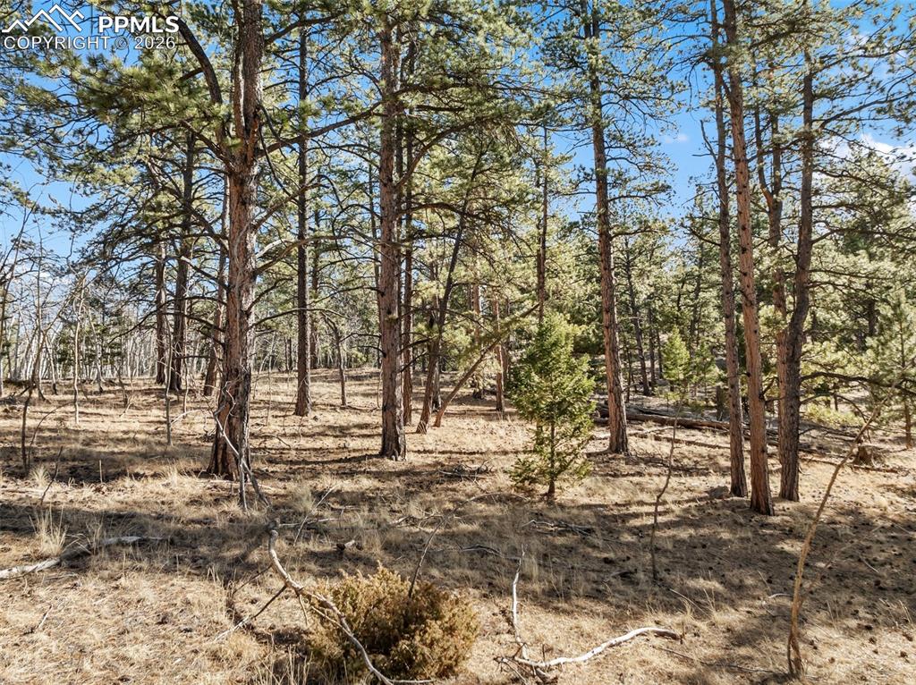 Lot 20 Echo Lake Drive Lake George CO 80827