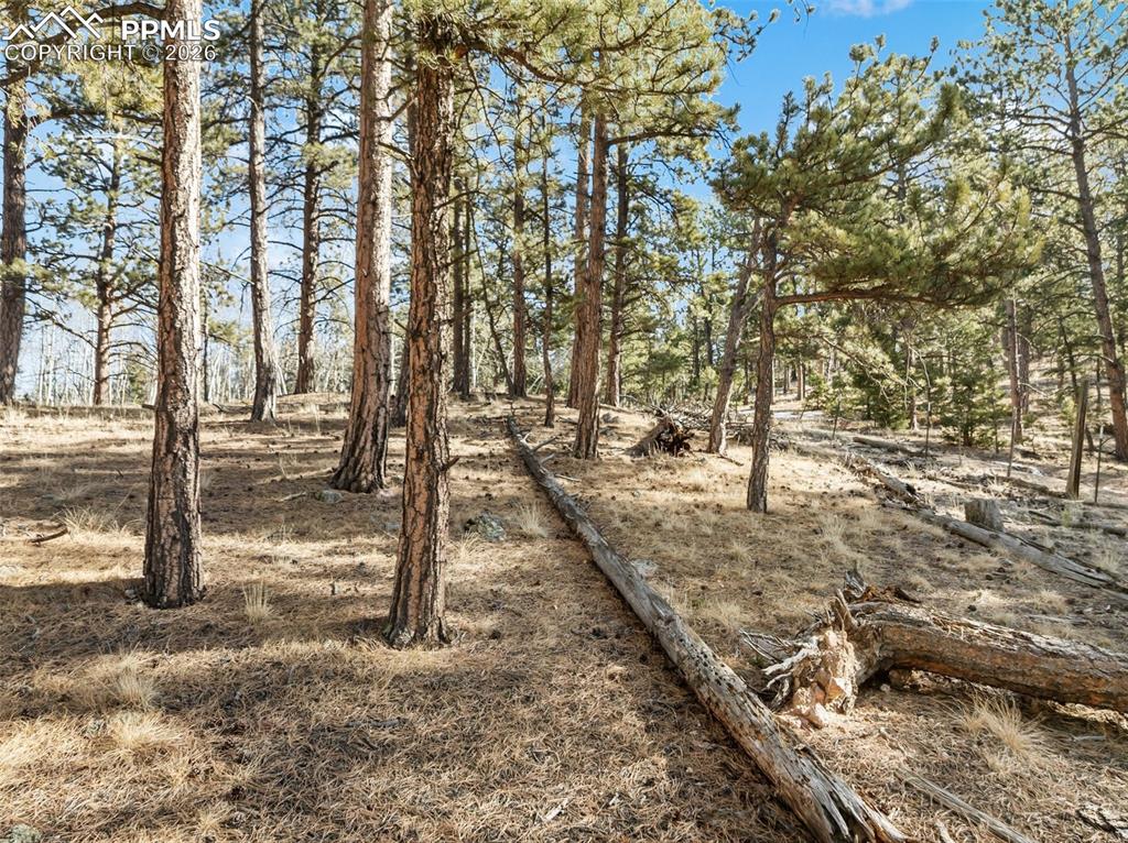 Lot 20 Echo Lake Drive Lake George CO 80827