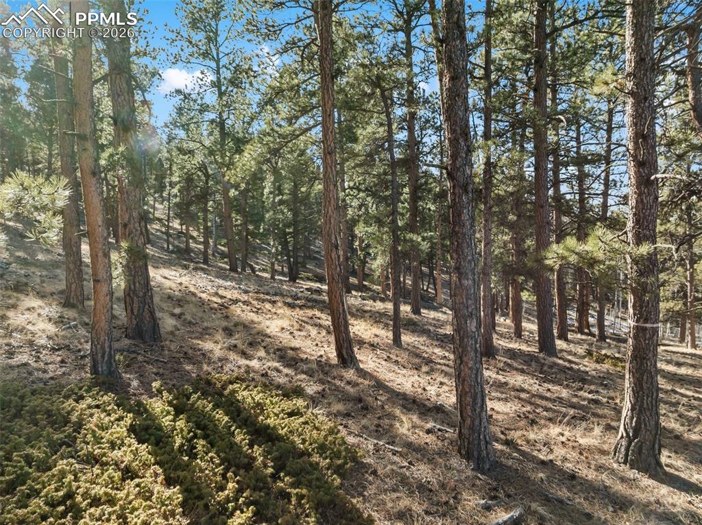 Lot 20 Echo Lake Drive Lake George CO 80827