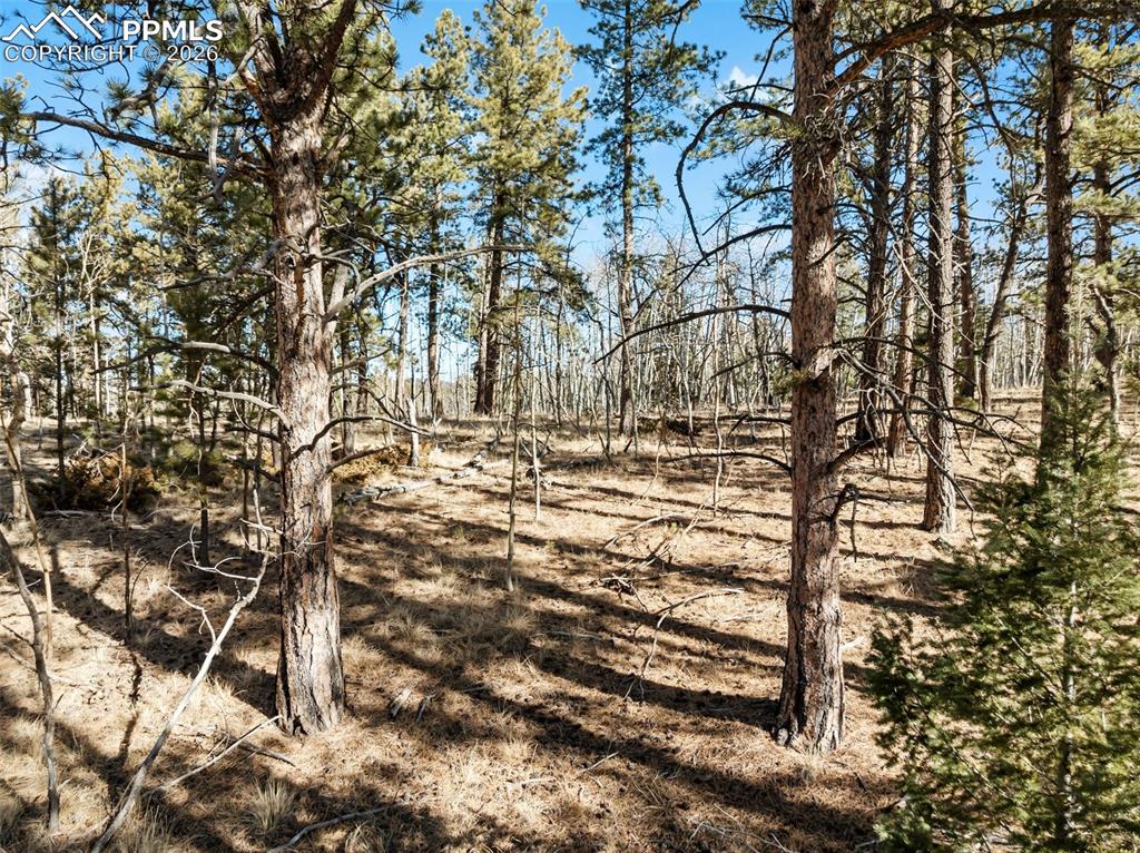 Lot 20 Echo Lake Drive Lake George CO 80827