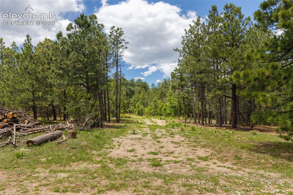 8719 Ponderosa Pine Drive Beulah CO 81023