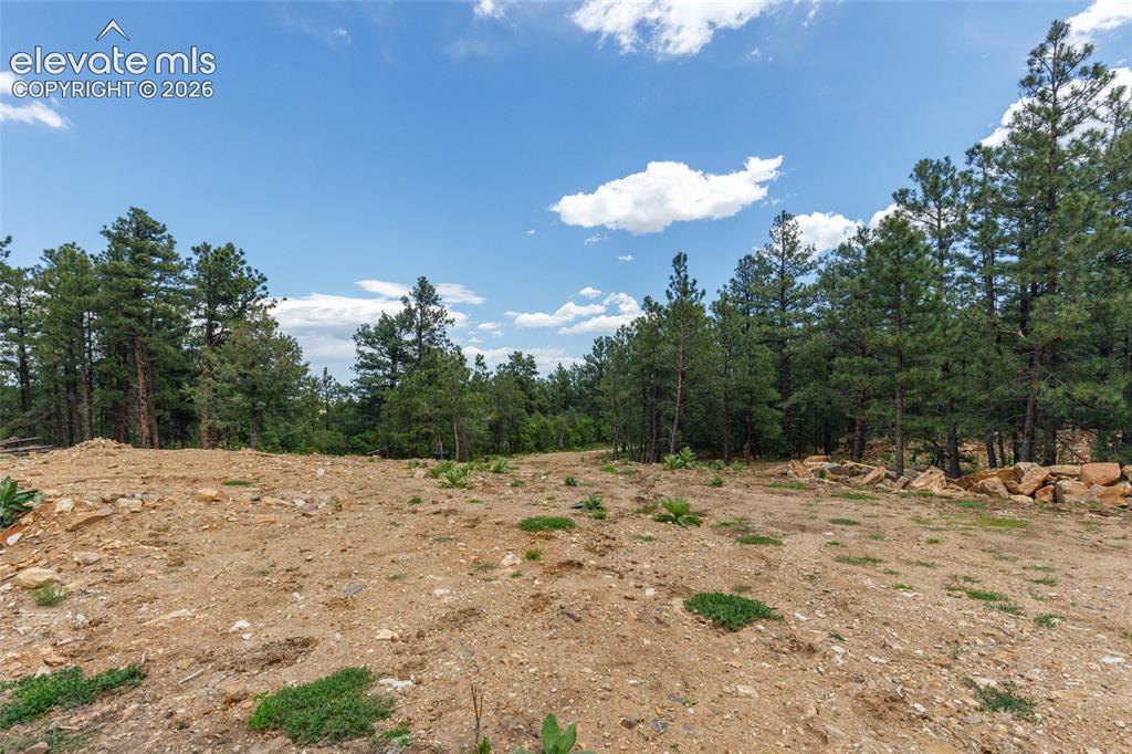8719 Ponderosa Pine Drive Beulah CO 81023