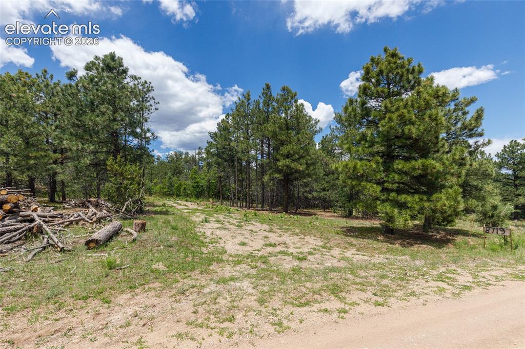 8719 Ponderosa Pine Drive Beulah CO 81023