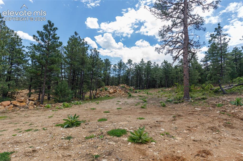 8719 Ponderosa Pine Drive Beulah CO 81023