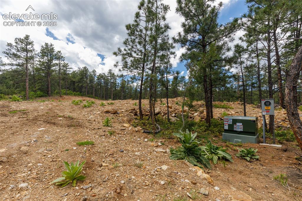 8719 Ponderosa Pine Drive Beulah CO 81023