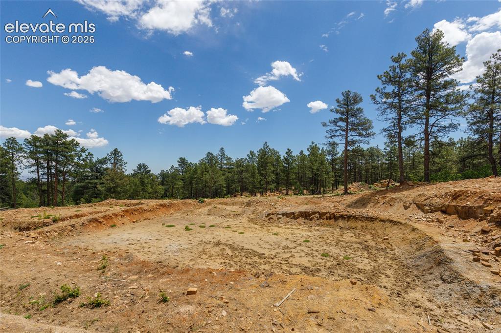 8719 Ponderosa Pine Drive Beulah CO 81023