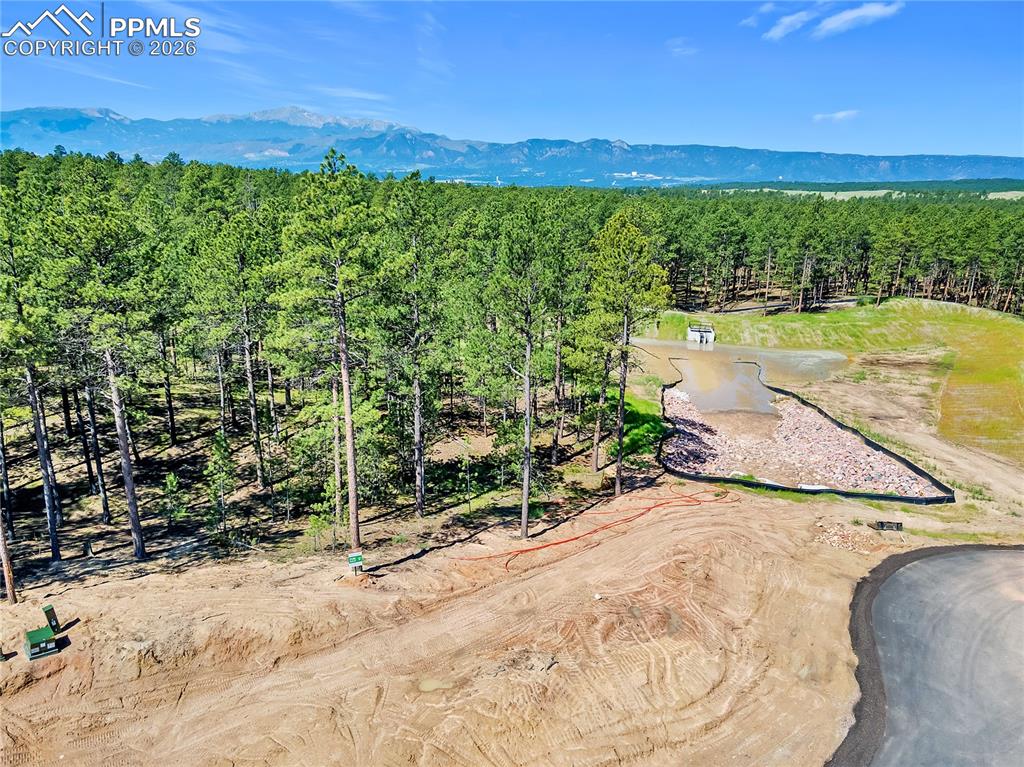 14191 Allen Ranch Road Colorado Springs CO 80908