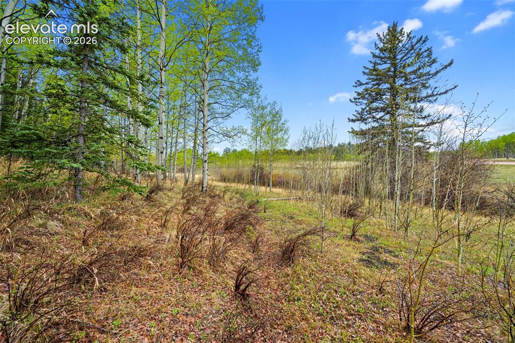 522 Hidden Valley Drive Lake George CO 80827