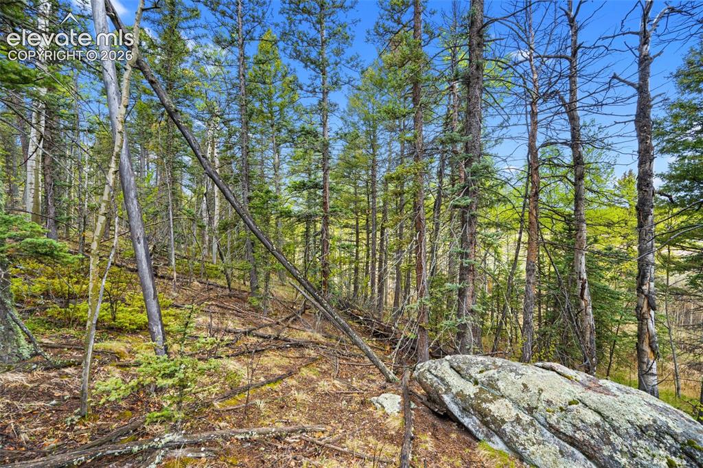 522 Hidden Valley Drive Lake George CO 80827