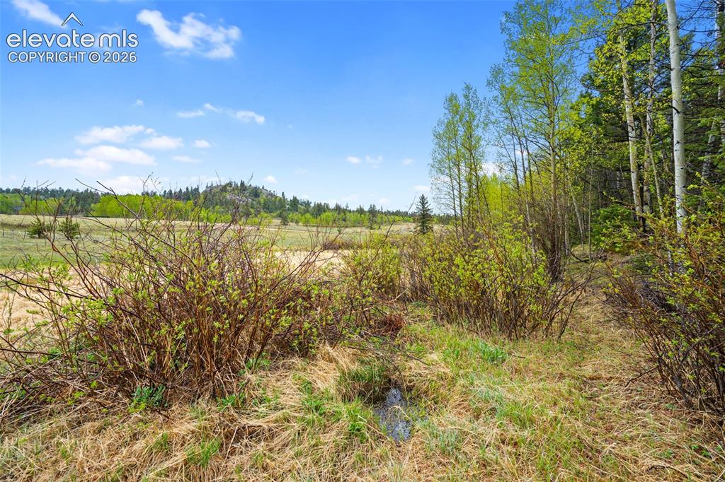 522 Hidden Valley Drive Lake George CO 80827