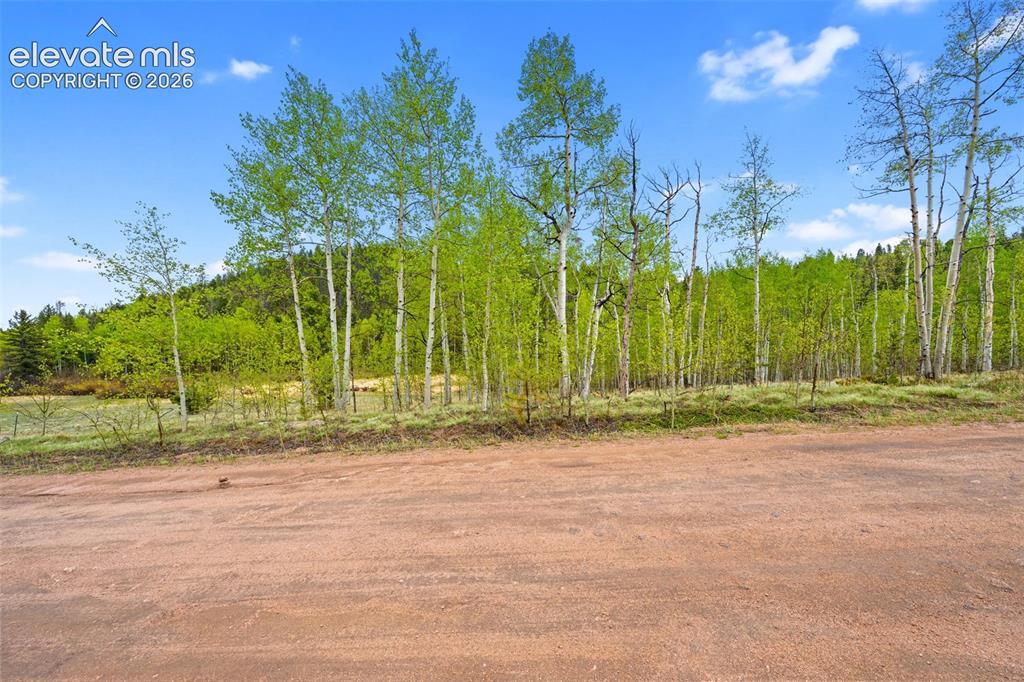 522 Hidden Valley Drive Lake George CO 80827