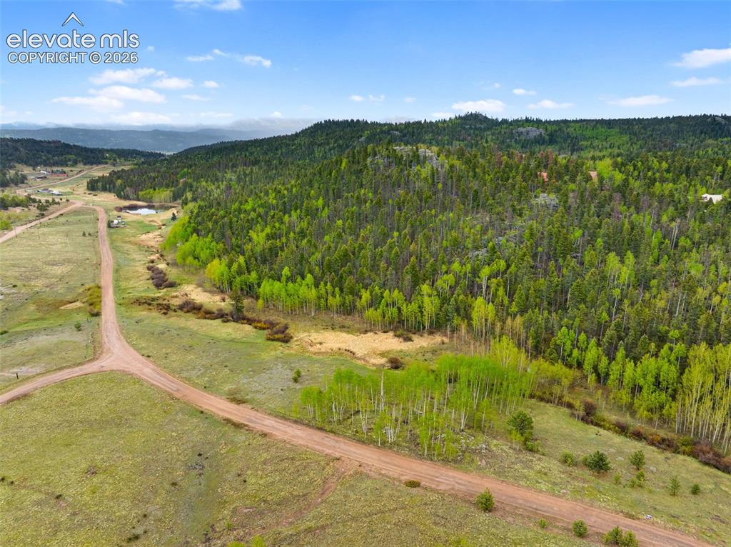 522 Hidden Valley Drive Lake George CO 80827