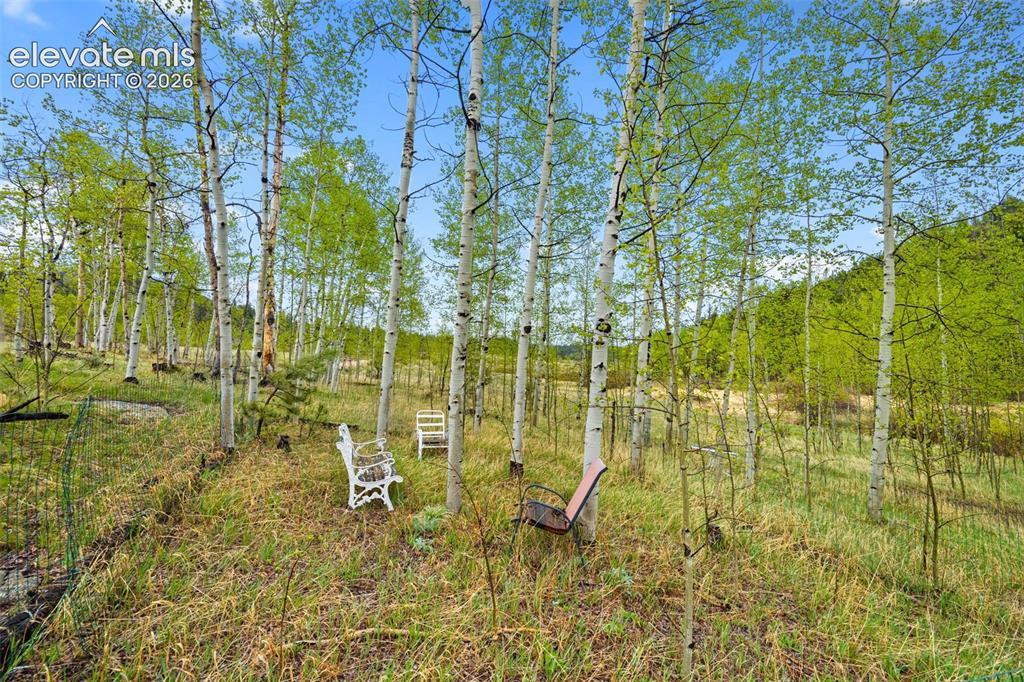 522 Hidden Valley Drive Lake George CO 80827