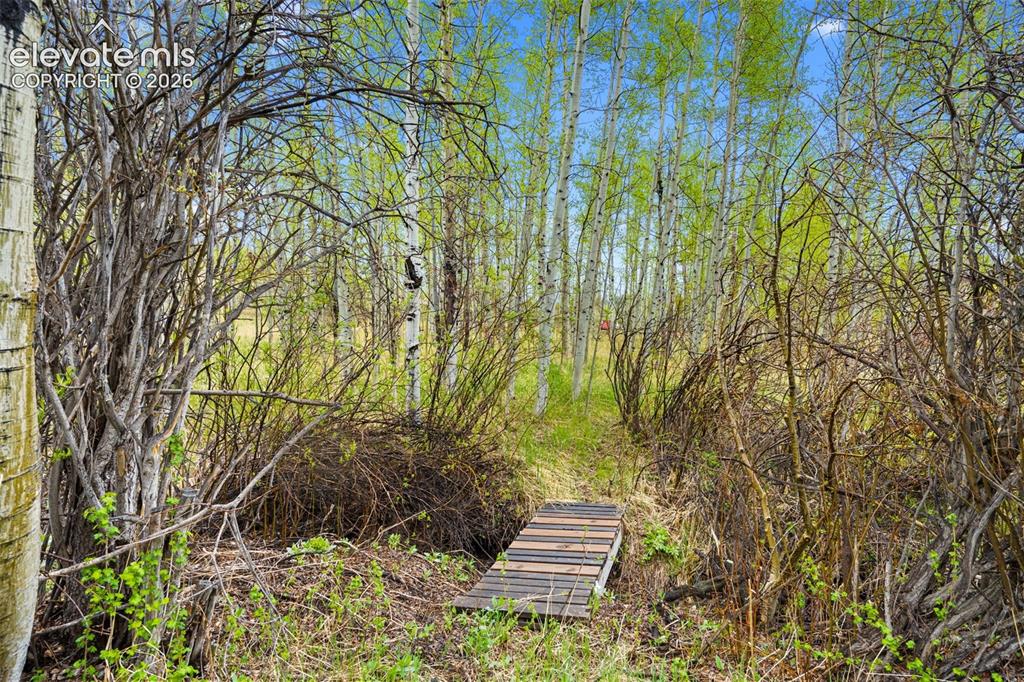 522 Hidden Valley Drive Lake George CO 80827