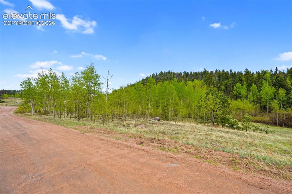 522 Hidden Valley Drive Lake George CO 80827