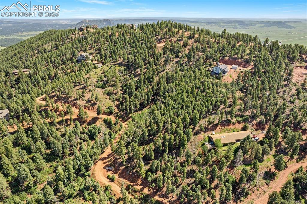 13294 N Firedog Way Larkspur CO 80118