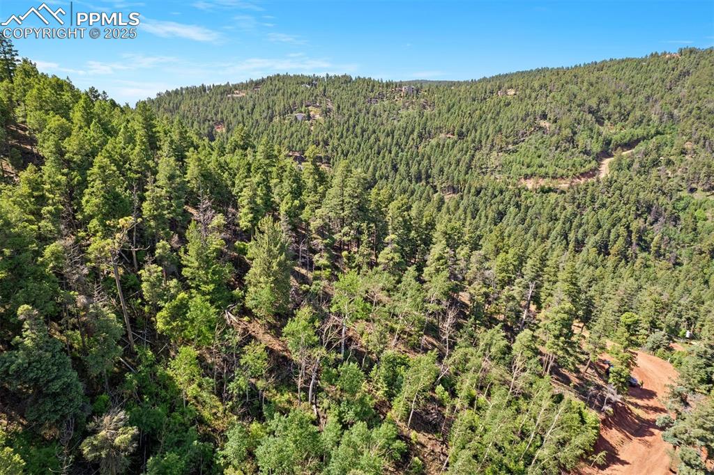 13294 N Firedog Way Larkspur CO 80118