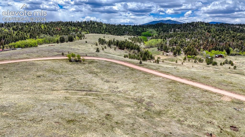 Lot 007 County Road 403 Florissant CO 80816
