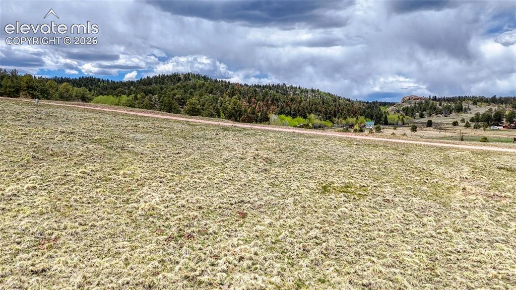 Lot 007 County Road 403 Florissant CO 80816