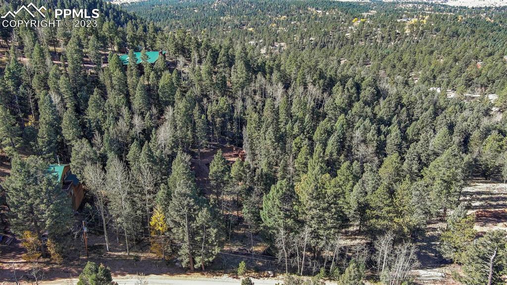2700 N Mountain Estates Road Florissant CO 80816
