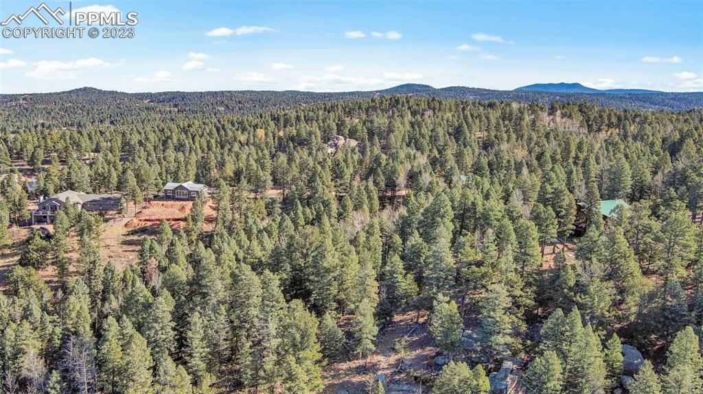 2700 N Mountain Estates Road Florissant CO 80816