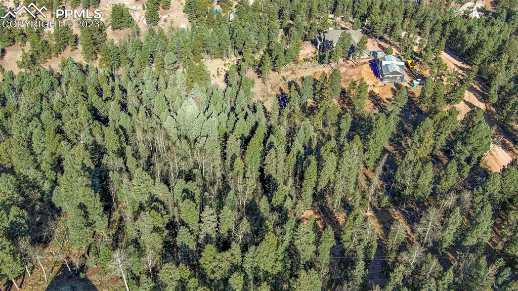 2700 N Mountain Estates Road Florissant CO 80816