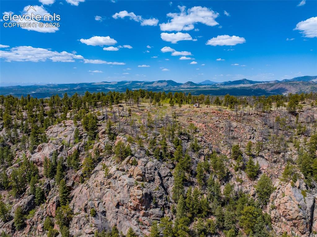57 Fir Lane Florissant CO 80816