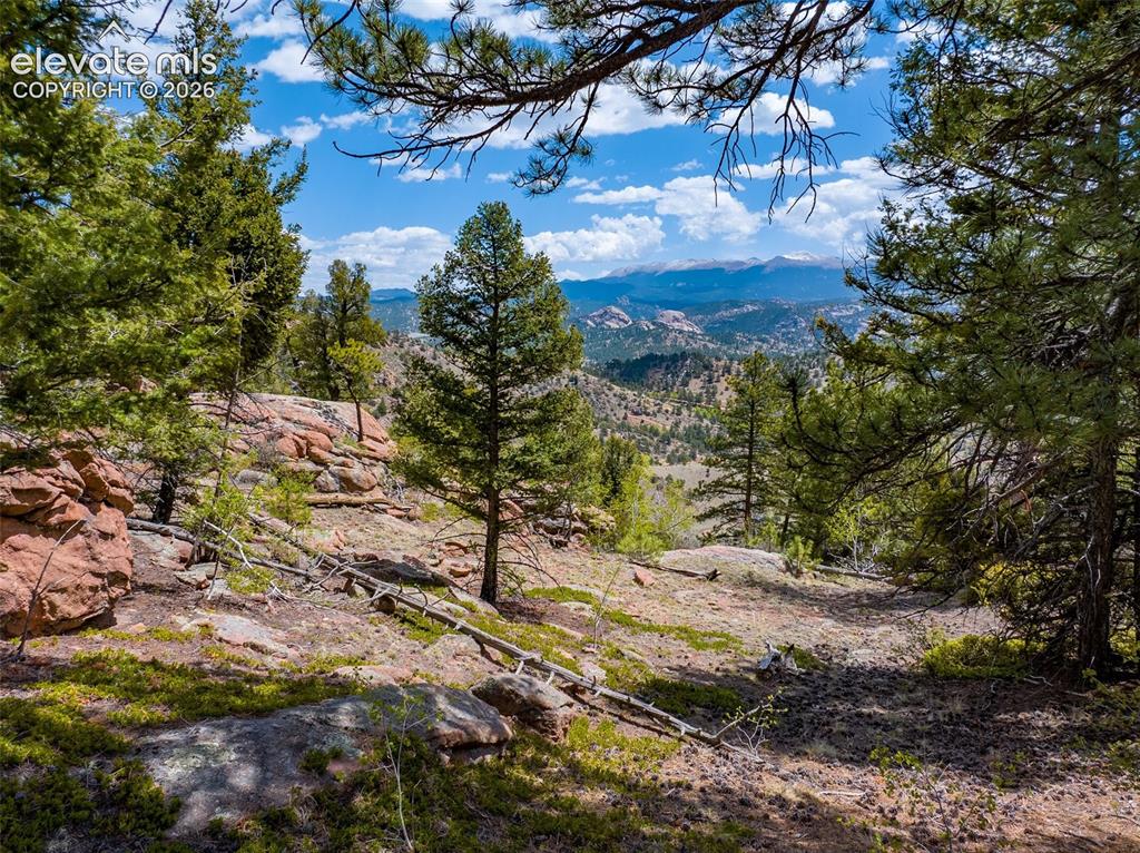 57 Fir Lane Florissant CO 80816