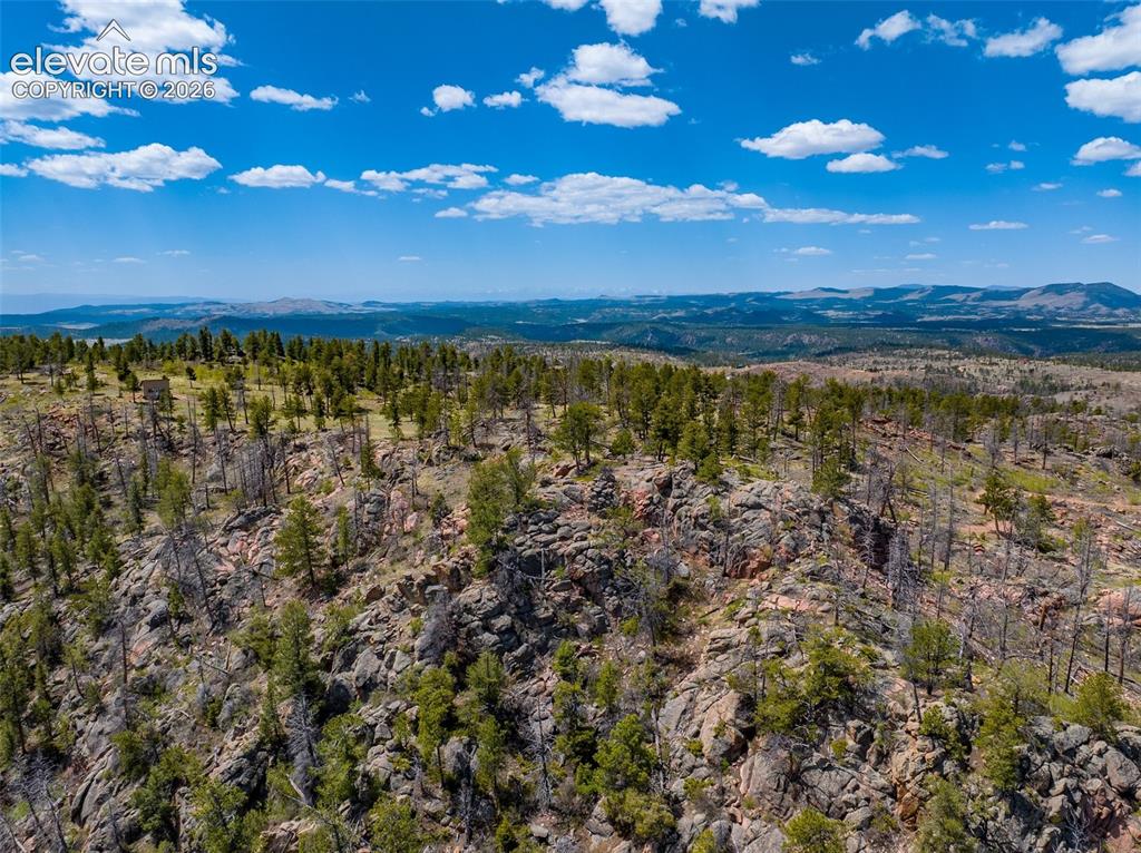 57 Fir Lane Florissant CO 80816