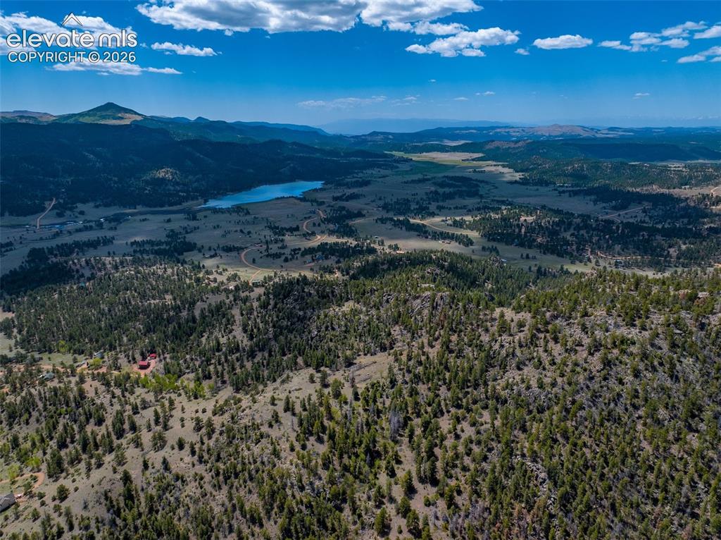 57 Fir Lane Florissant CO 80816